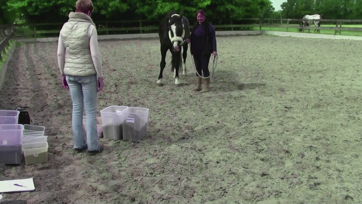 Kruidenmix pony